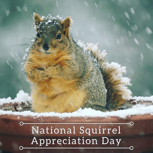 Squirrel_Barbie's tweet photo. This day has always been close to my heart. #SquirrelAppreciationDay 💖💗🐿️💗💖 https://t.co/DyY8PaQxhC