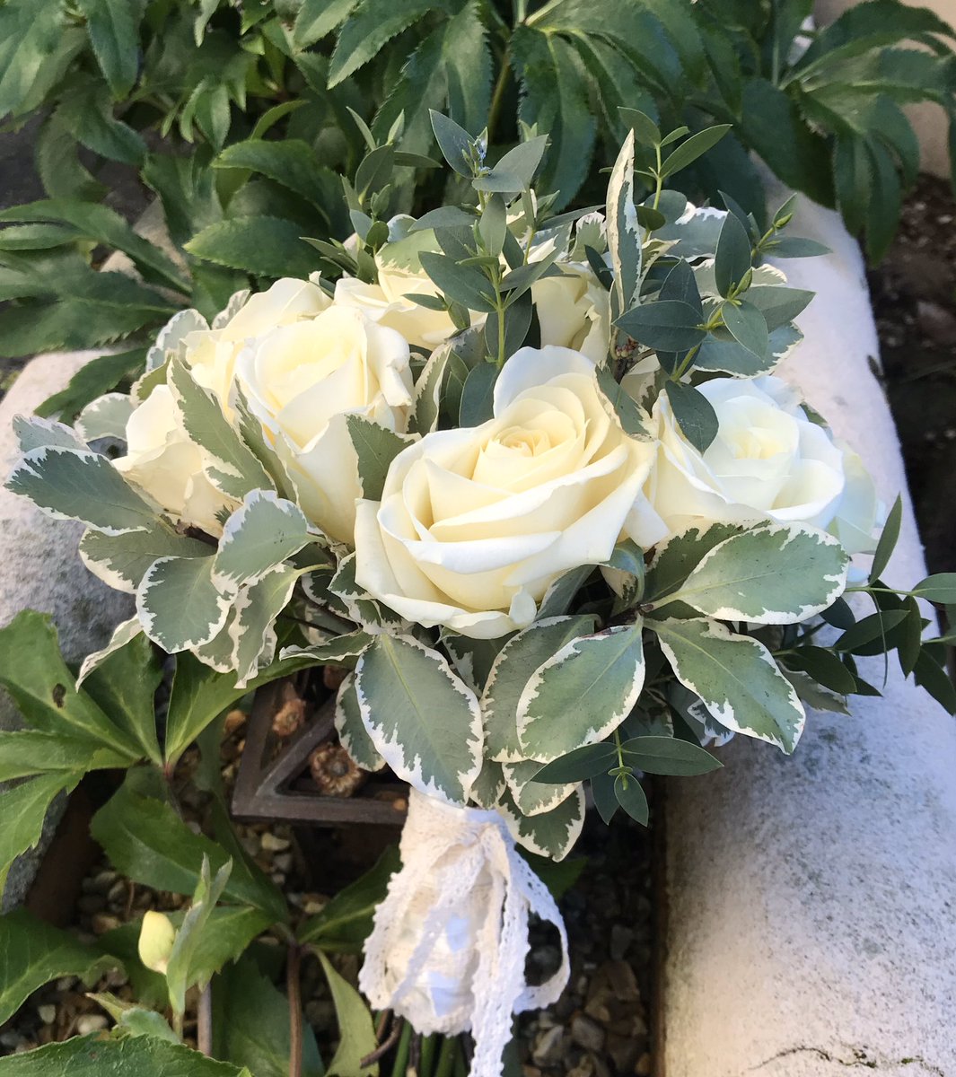 MelisxHoneybee's tweet photo. What a beautiful day for a wedding @TreeTopEscape π #weddingday #weddinghour #ivoryroses #bridalbouquet https://t.co/cShhWelEhc