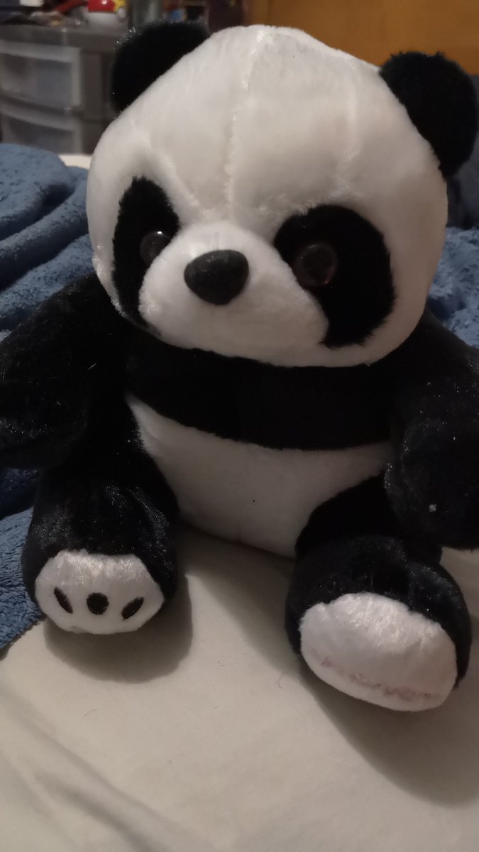 •|| Guys I have it.

A real life Buchimaru plushy