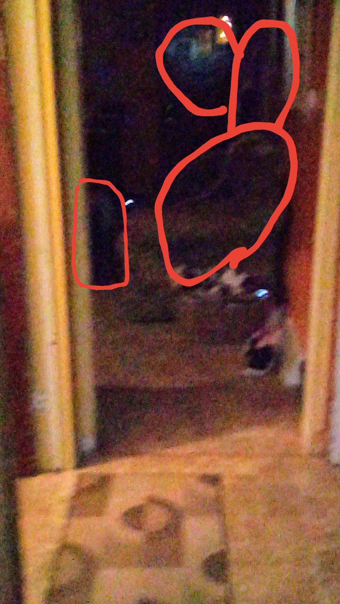 I bet the one on da couch is da one that said that exorcist stuff to me there's some cool stuff hear