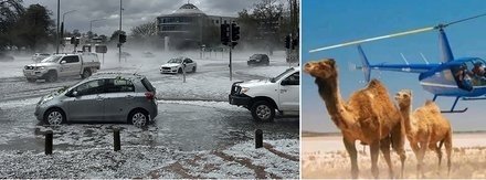 Binlerce deveyi su tükettiği gerekçesi ile katledenlere, hâşâ kendi üzerlerine rızk payı biçenlere karşı, ebabiller gibi yağan doluyla ve  esirgedikleri suyun sel olup felakete dönüşmesiyle  "ALLAH" diyoruz...!

#SALI