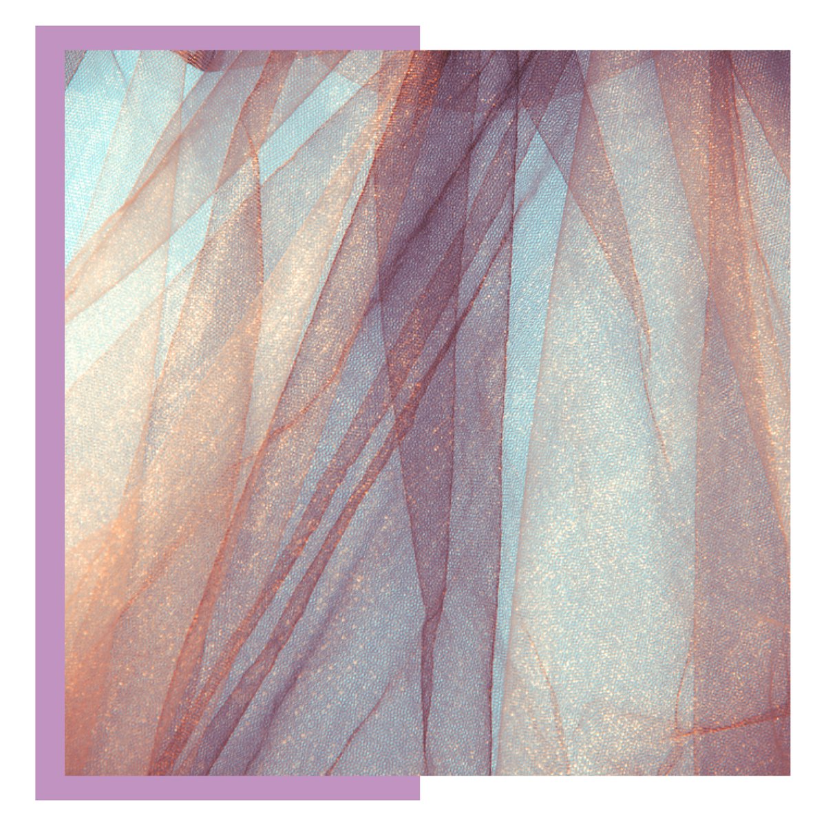 tffabricsshow's tweet photo. Tulle has a piece of shine inside.
.
https://t.co/7FrCskJoSD
.
.
#purple #shine #grace #transparency #purpleaddict #trends #trends2021 #bursatextileshow #bursa #paris #newyork #love #photooftheday https://t.co/Q3qNOTYajm