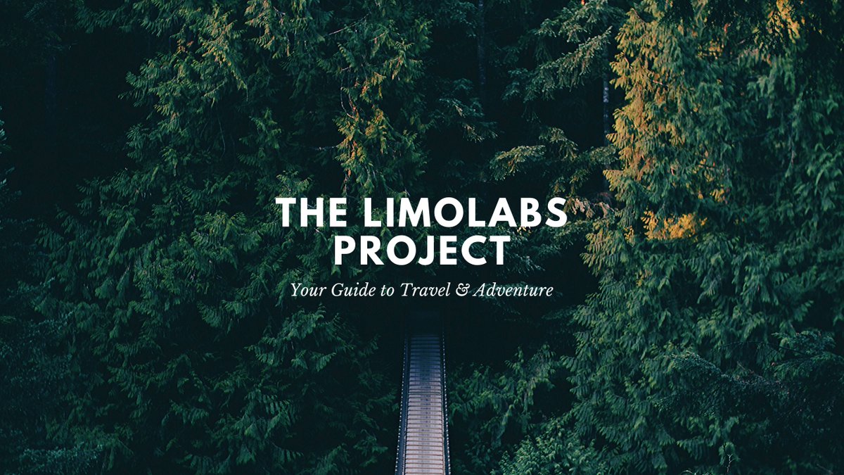 LimoLabs's tweet photo. LimoLabs #SEOlimo #limomarketing https://t.co/niBFkzuOae