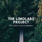 Photo by LimoLabs (@LimoLabs)