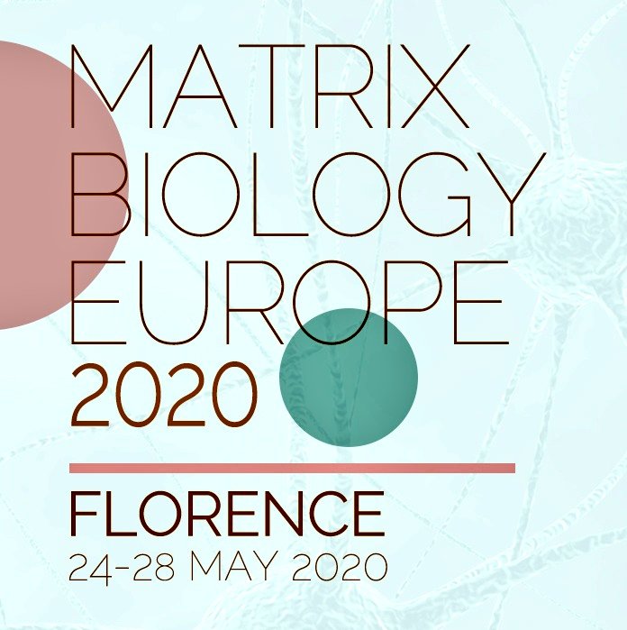 DavideVigetti's tweet photo. Matrix Biology Europe 2020 meeting in Florence Is approaching... Visita
https://t.co/TD8FxUXGVp https://t.co/Neq0EkNDAO