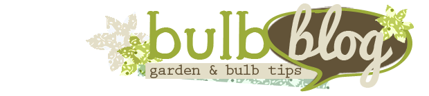 Top 20 Bulbs and Perennials for 2020 bulbblog.com/top-20-bulbs-a…