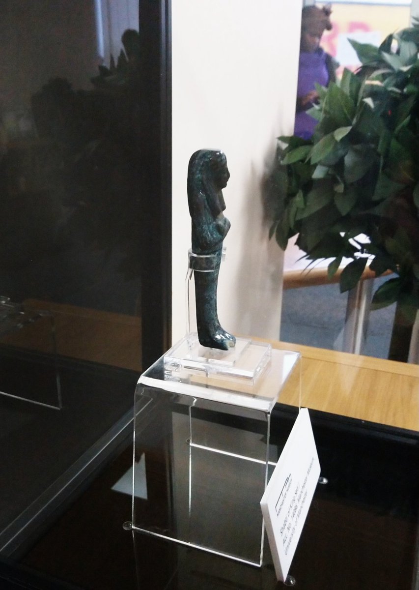 Very happy to visit our shabti of King Seti I <a href="/stambroserc/">St Ambrose Primary</a> and meet staff and pupils. Well done to the lad who put his hand up and said "It wasn't Howard Carter who discovered #Tutankhamun, it was an Egyptian water boy" #ShabtisInSchools 👏 👏 👏