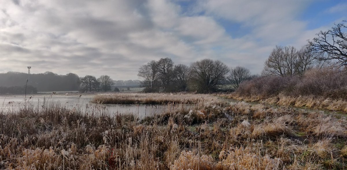 ADLJ's tweet photo. My view this morning #Edenbrook #Hampshire #frosty #dogwalking #dogwalks @GreenHampshire @VisitHampshire @BBCCountryfile @bbcweather https://t.co/66xTz5xIXY