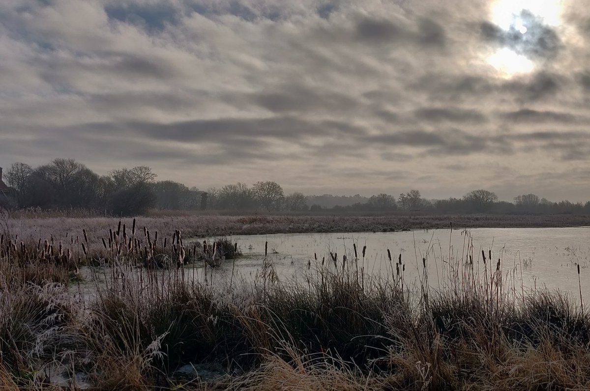 ADLJ's tweet photo. My view this morning #Edenbrook #Hampshire #frosty #dogwalking #dogwalks @GreenHampshire @VisitHampshire @BBCCountryfile @bbcweather https://t.co/66xTz5xIXY