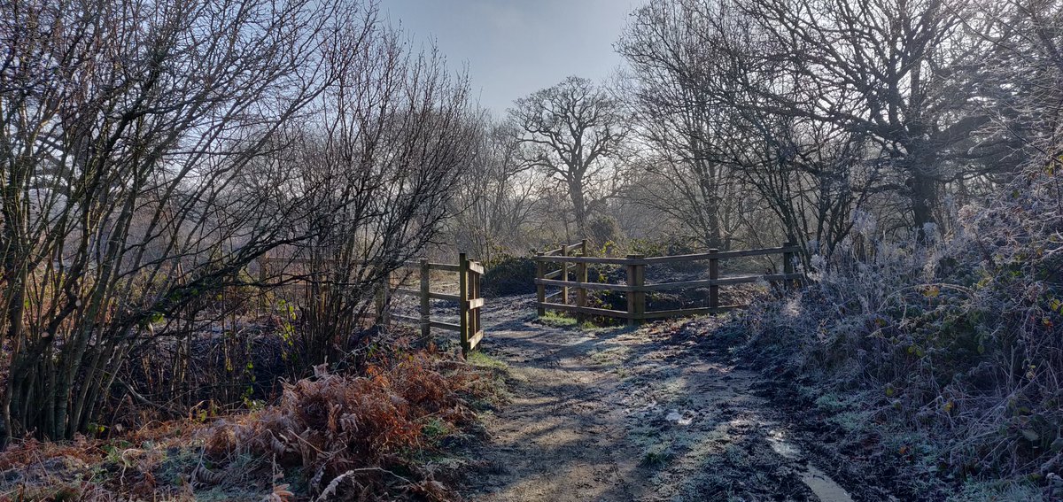 ADLJ's tweet photo. My view this morning #Edenbrook #Hampshire #frosty #dogwalking #dogwalks @GreenHampshire @VisitHampshire @BBCCountryfile @bbcweather https://t.co/66xTz5xIXY