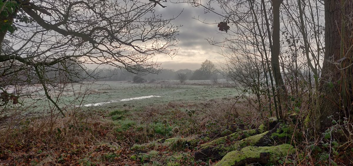 ADLJ's tweet photo. My view this morning #Edenbrook #Hampshire #frosty #dogwalking #dogwalks @GreenHampshire @VisitHampshire @BBCCountryfile @bbcweather https://t.co/66xTz5xIXY