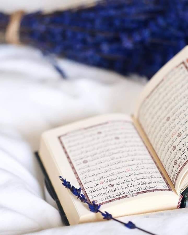 قال أبو سليمان - رحمه الله -:
" إِذَا كَانَتِ الْآخِرَةُ فِي الْقَلْبِ جَاءَتِ الدُّنْيَا تَزْحَمُهَا،
وَإِذَا كَانَتِ الدُّنْيَا فِي الْقَلْبِ لَمْ تَزْحَمْهَا الْآخِرَةُ؛
لِأَنَّ الْآخِرَةَ كَرِيمَةٌ وَالدُّنْيَا لَئِيمَةٌ "

الزهد لابن أبي الدنيا - حـ ٦٦