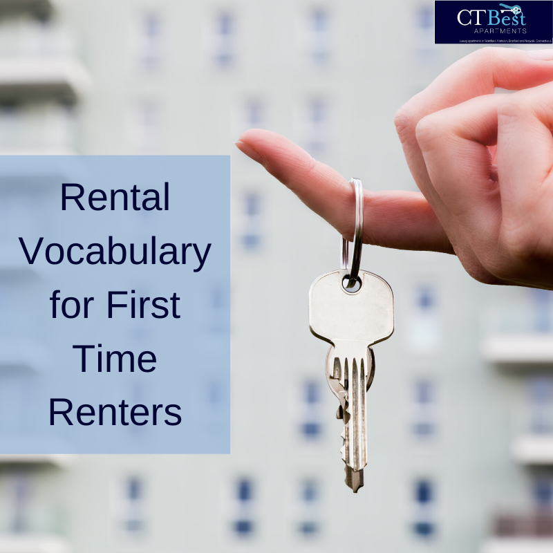 CTBestAparts's tweet photo. Vocabulary terms aren't just for school. Renting an apartment involves a whole new vocabulary that can be confusing for first time renters.🤔

Read our blog to learn more about the rental lingo you should know before renting your first apartment.🏙
📰https://t.co/lrWJqKG5qo https://t.co/rDhuY9kLA0
