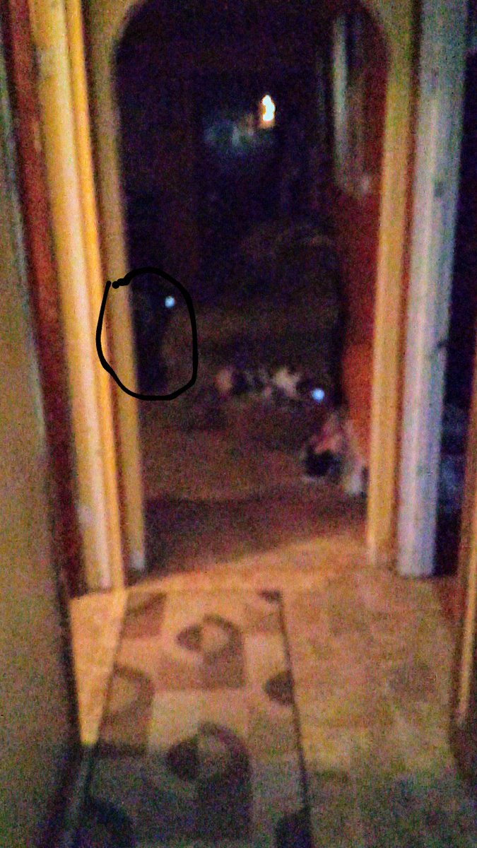 This is gnarly as well