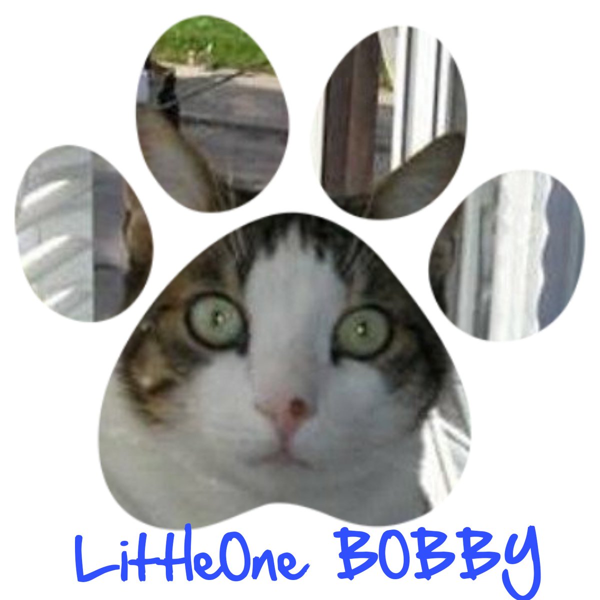 <a href="/Bobibobitza/">Mirabela</a> 😻💯💙