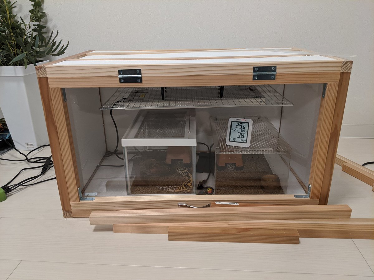 Kuwapp 前から少しずつ作っていた爬虫類用温室 が良い感じにできた Diyを経験したので今後家具が欲しいときは買うだけでなく 自作する が選択肢に入る Kuwapp 前から少しずつ作っていた爬虫類用温室 が良い感じにできた Diyを経験したので今後家具が欲しいときは買うだけでなく 自作する が選択肢に入る