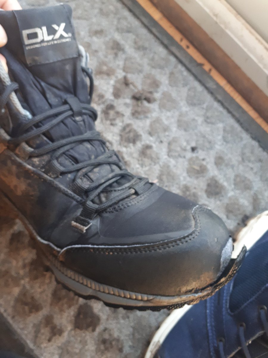 trespass dlx boots