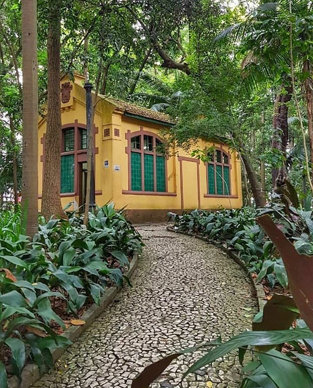 projeto_spcity's tweet photo. Parque Trianon by @olhespoutravez 🚩 #saopaulocity #EuVivoSP #parquetrianon https://t.co/taRs8LbWXm https://t.co/5bmJcKvEYO