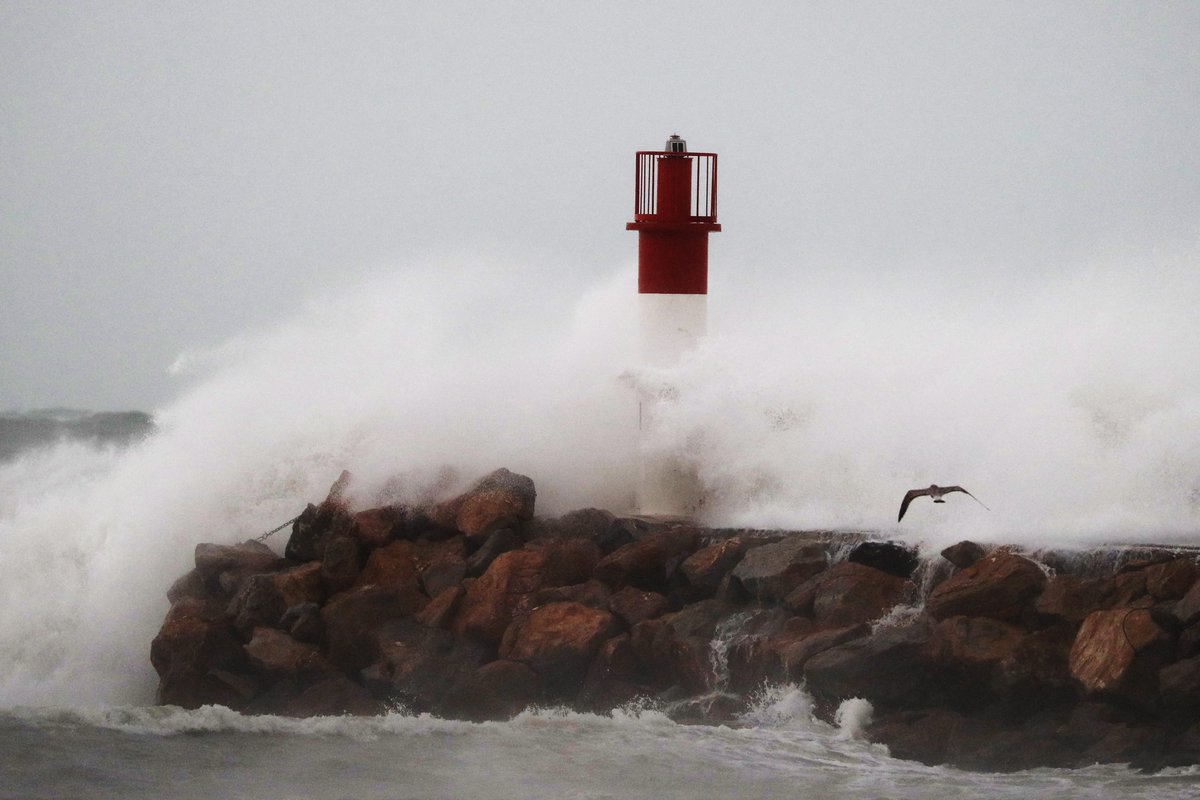 iciroussillon's tweet photo. EN DIRECT - La tempête Gloria déferle dans les Pyrénées-Orientales, record de précipitations au cap Béar https://t.co/sMzFrfuKuc https://t.co/lHujfQRNdR