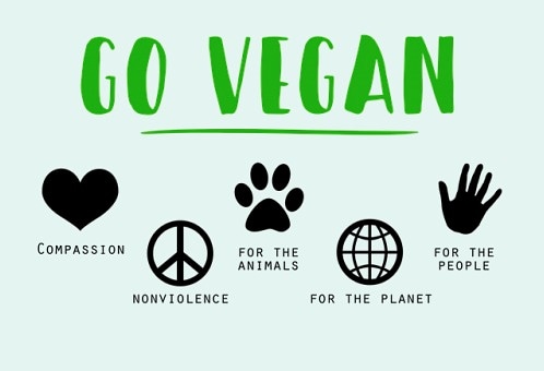 Kalettes® UK tweet media