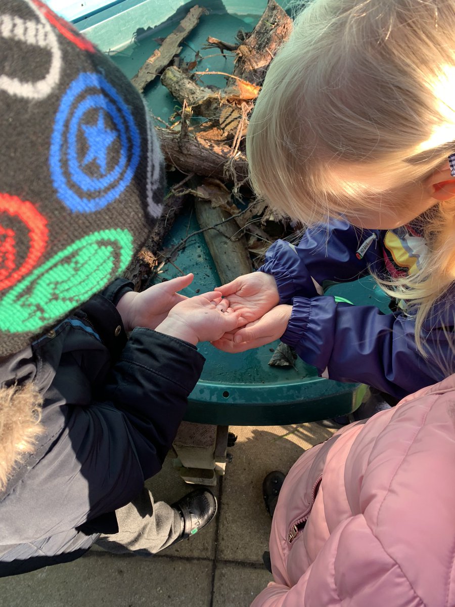 scps_foundation's tweet image. FS2H had fun building and exploring our ‘bug world’ this morning. We found all sorts of creatures.🕷 🐜 🐛  #springcottageeyfs #springcottagescience