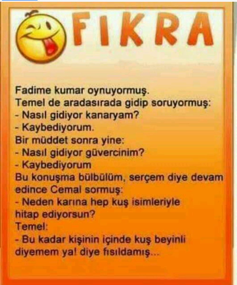 Serapsarp11's tweet photo. https://t.co/lZKmPp6jre