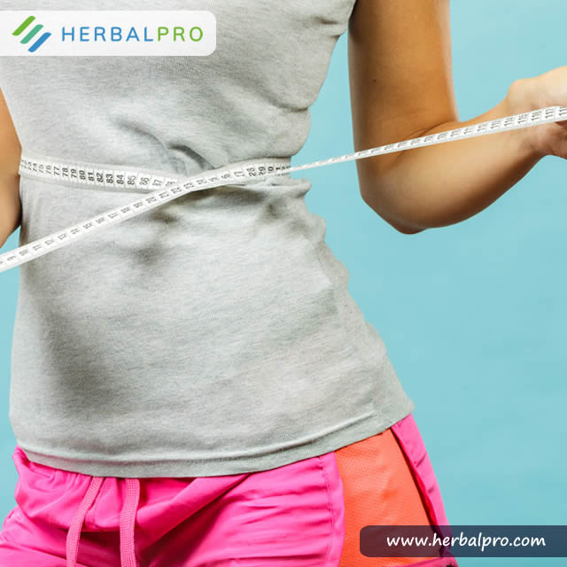 herbalprong's tweet photo. Don't let anything stop you from achieving your weight loss goal. Let EZ Slim guide you all the way. https://t.co/cDOSo6gwMn. #weightloss #herbal remedy #naturalweightmanagement #burnfat. https://t.co/g57G3Sapnc