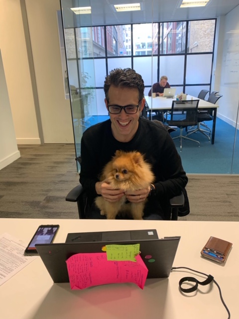 freespee's tweet image. We love our office pups ♥ #petfriendly #officedogs