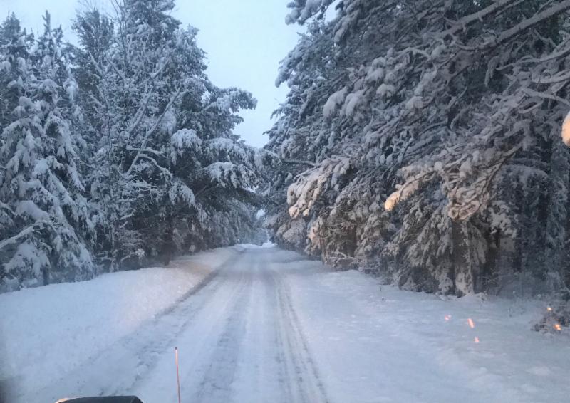 Have you seen our latest news? conta.cc/2v2RkSB