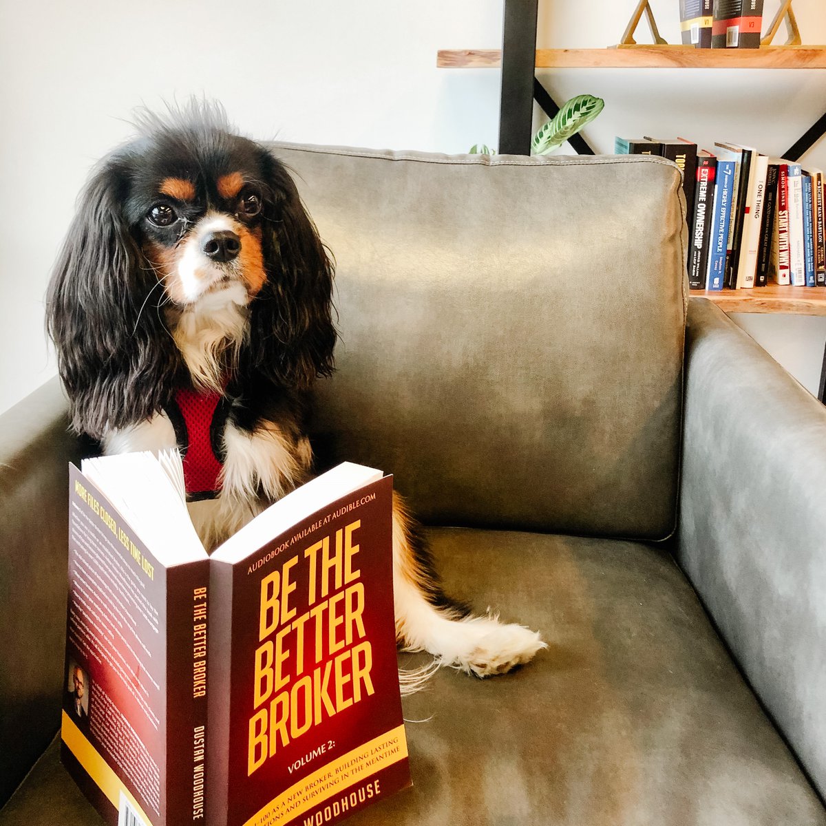 4FrontMortgages tweet media