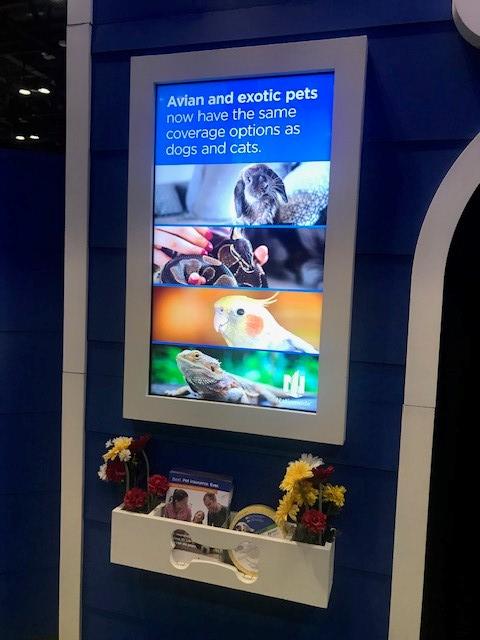 NationwidePet's tweet photo. Nationwide is making hiss-tory! If you're at #VMX2020, don't forget to stop by booth 751 to hear about our newest product. #BestPetInsuranceEver https://t.co/lvX4egOcVO
