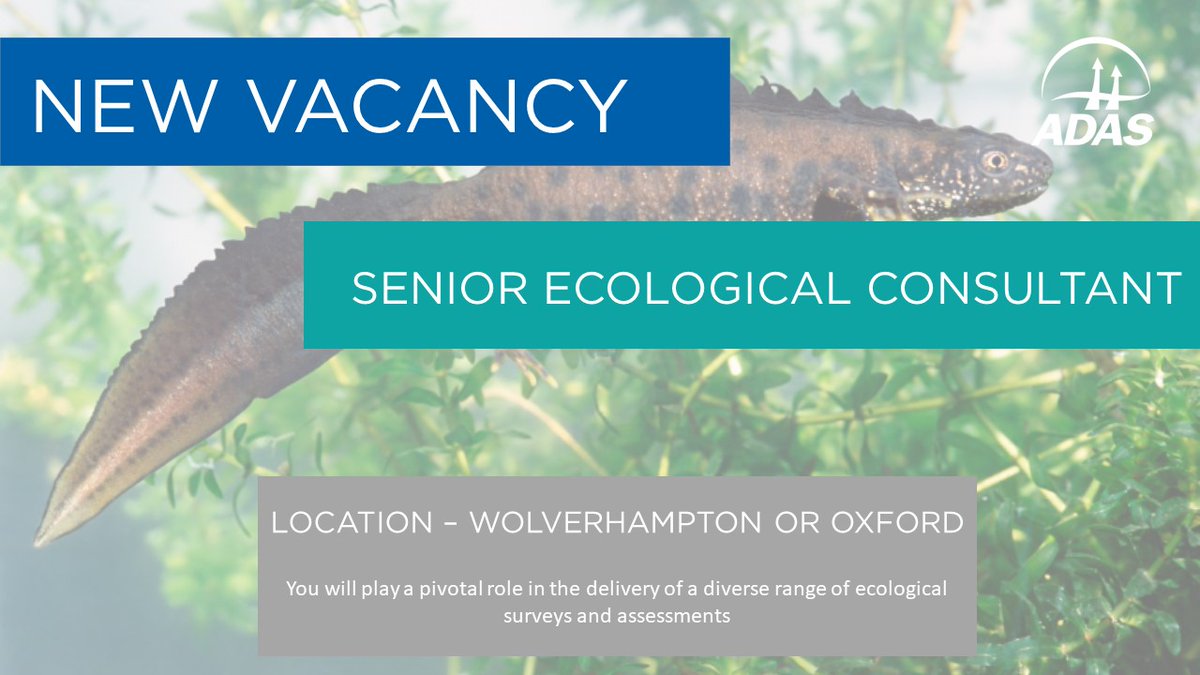 ADASGroup's tweet photo. We're looking for a Senior Ecological Consultant to join our #Wolverhampton or #Oxford teams. You will play a pivotal role in the delivery of a diverse range of ecological surveys and assessments. Visit https://t.co/si8f3Lp6wV for more information #Jobsearch https://t.co/eNVGxovUdH