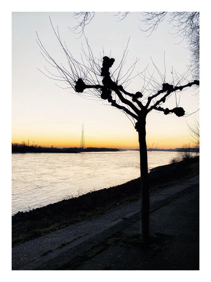 Mein Niederrhein.