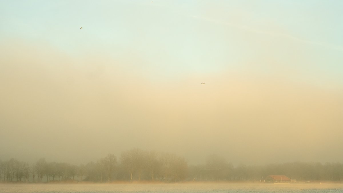 burryandenbrink's tweet photo. Na een toch wel zonnige dag ontstaat er vanmiddag toch wel snel #mist #mistbank #zon boven het water van #stroombroek #achterhoek #weerfoto @weeronline https://t.co/6zYsNbs43Z