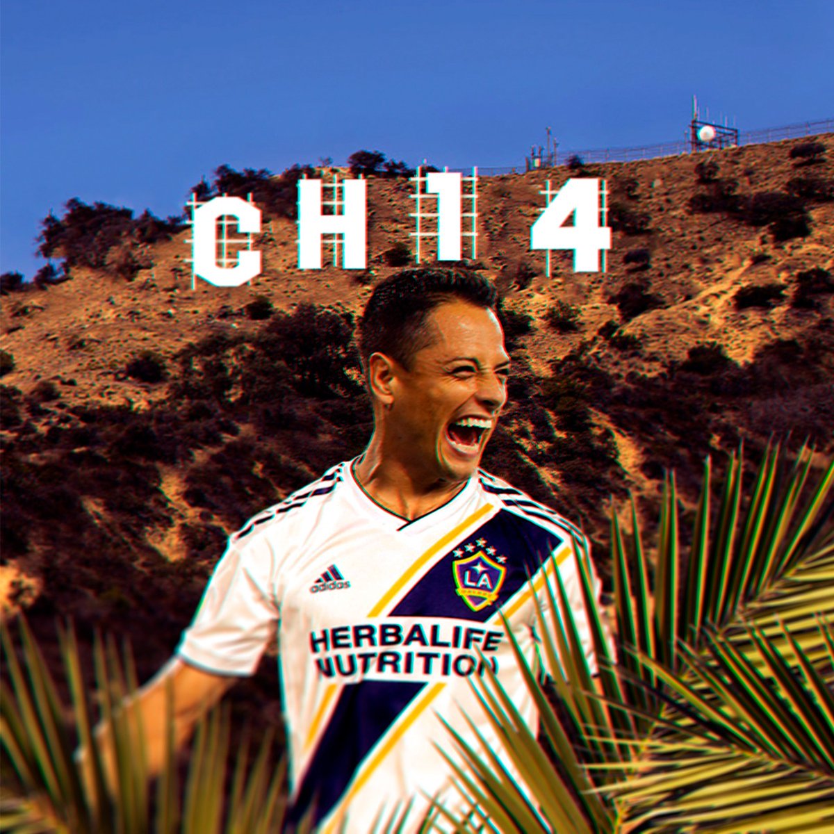 TUDNUSA's tweet photo. 🤩⭐🇲🇽 ¡No podemos esperar más!

🔄 RT: si eres team CH14
♥ LIKE: si eres team Carlitos Vela

El próximo derbi de Los Angeles se pondrá buenísimo 
👏🤗⚽🇲🇽

@LAGalaxy | #Chicharito | #LAGalaxy | #MLS https://t.co/mw2kAQ3Vq2