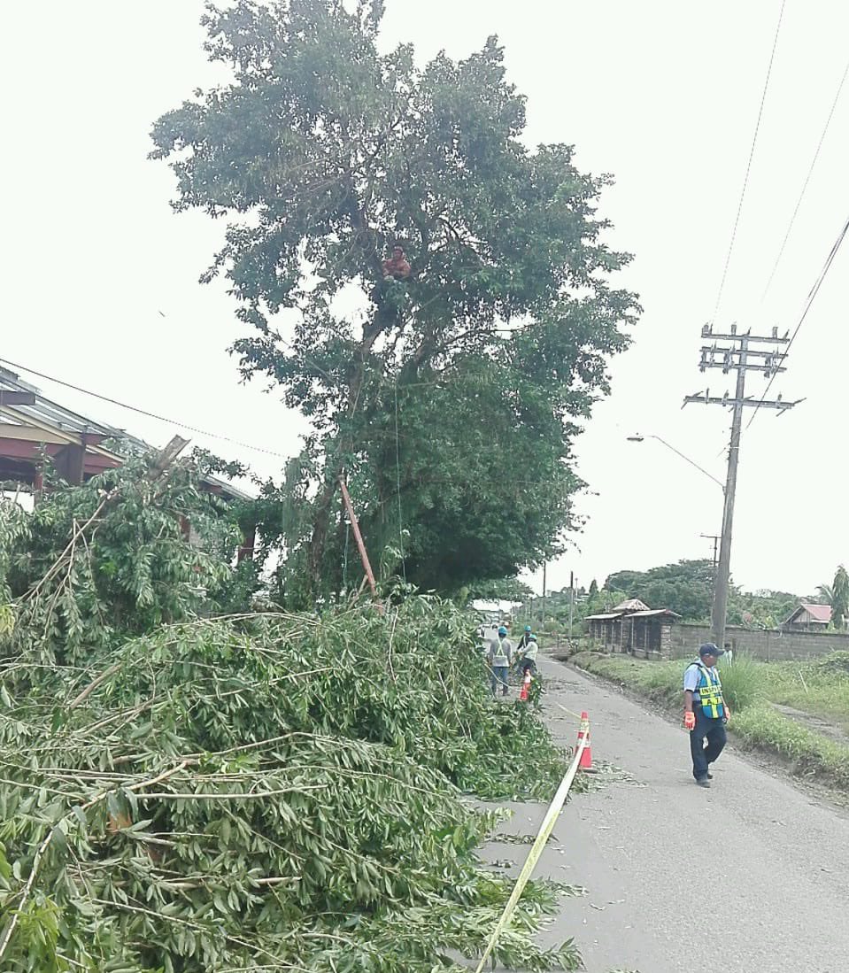 Naturgy Panamá (@naturgypa) on Twitter photo Se realizan trabajos de mantenimiento en El Empalme, Changuinola, labores de poda y adecuación de elementos de la red. <a href="/interbocas/">BOCAS DEL TORO</a> <a href="/RTPanama/">Roberto Tomas</a> <a href="/tvnnoticias/">TVN Noticias</a> <a href="/treporta/">Telemetro Reporta</a> Se realizan trabajos de mantenimiento en El Empalme, Changuinola, labores de poda y adecuación de elementos de la red. <a href="/interbocas/">BOCAS DEL TORO</a> <a href="/RTPanama/">Roberto Tomas</a> <a href="/tvnnoticias/">TVN Noticias</a> <a href="/treporta/">Telemetro Reporta</a>