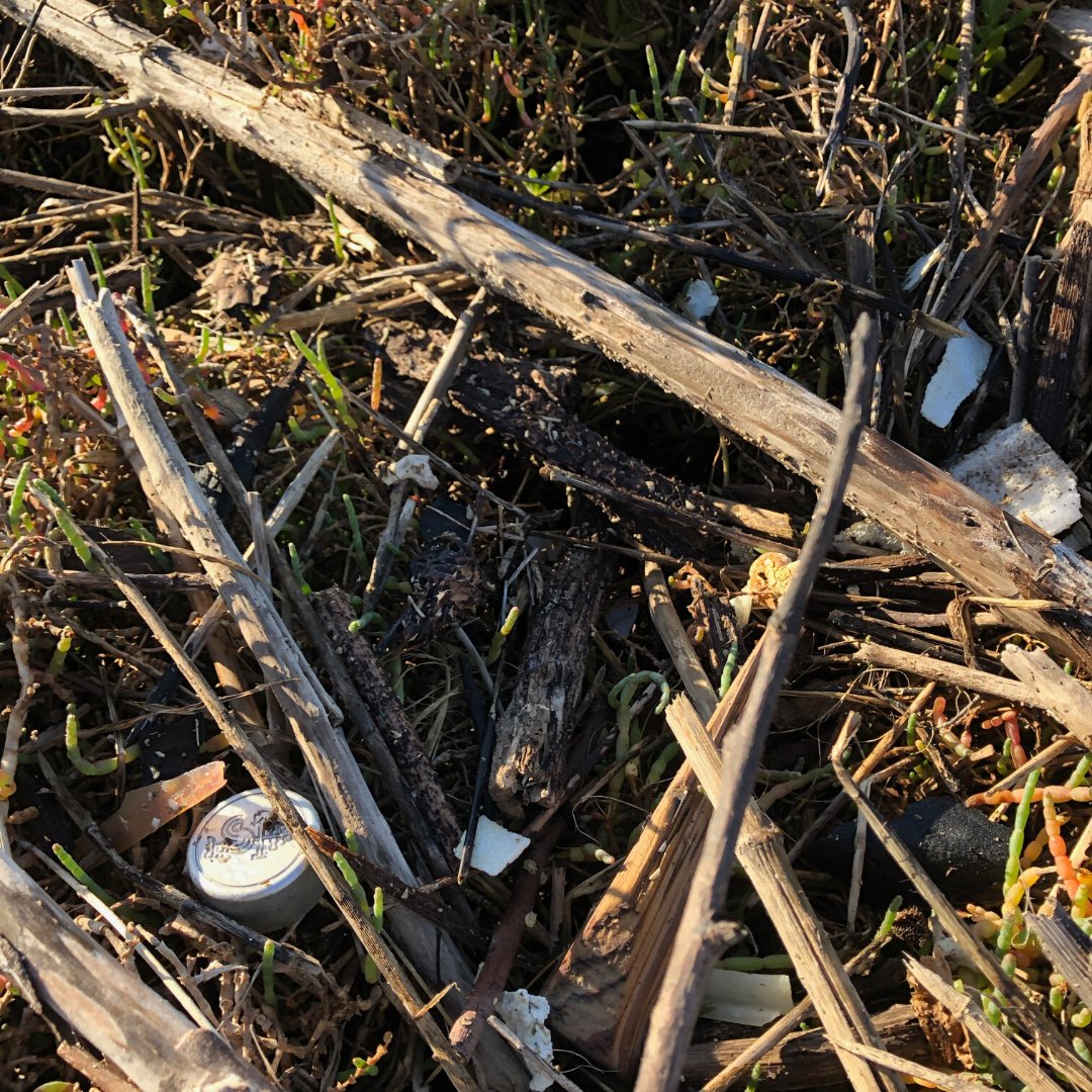 ITOFoundation's tweet photo. Thank you to all 165 volunteers who removed 125+ bags of trash &amp; recyclables from the Upper Newport Bay wetland and helped restore the natural habitat. You worked SO hard &amp; made such a difference in @newportbeachgov on our #MLKDay of Service. @PointsofLight @ocdestem @OCDeptofEd https://t.co/7ueXSlXQrF