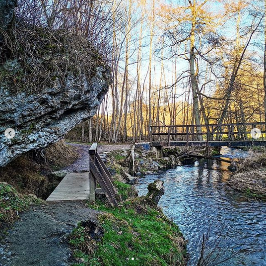 TanjaHanika's tweet photo. Ich wollte euch ja mehr durch die wunderschöne Eifel mitnehmen.
Heute sind wir den Ahr-Radweg gefahren. Vorbei an der Burgruine Blankenheim bis zum Wasserfall Dreimühlen.
Mit der frischen Luft sollte jetzt auch am Schreibtisch gut laufen. ^^
#Eifelexplorers #Autorenalltag https://t.co/9ZhqLLMK8a