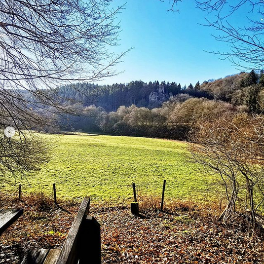 TanjaHanika's tweet photo. Ich wollte euch ja mehr durch die wunderschöne Eifel mitnehmen.
Heute sind wir den Ahr-Radweg gefahren. Vorbei an der Burgruine Blankenheim bis zum Wasserfall Dreimühlen.
Mit der frischen Luft sollte jetzt auch am Schreibtisch gut laufen. ^^
#Eifelexplorers #Autorenalltag https://t.co/9ZhqLLMK8a
