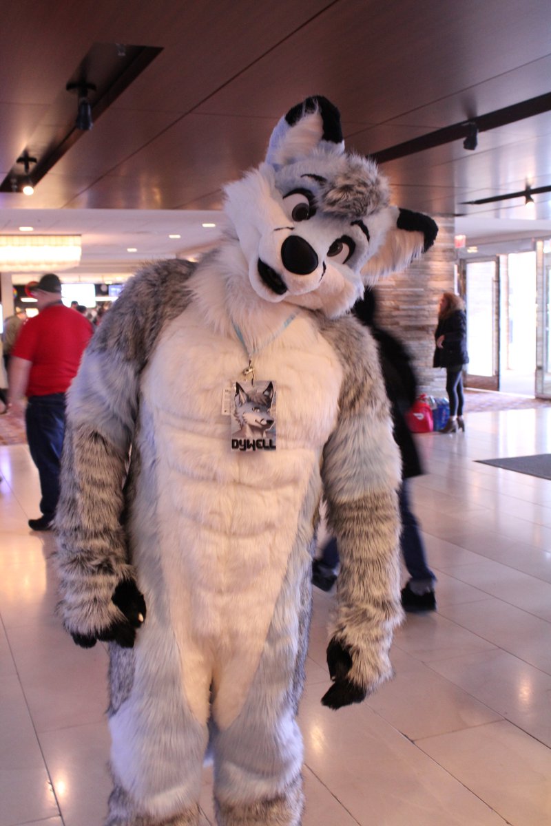 <a href="/RushCoyote/">Rush Coyote 🇵🇸</a> <a href="/avwuff/">Av Husky ➡️ bsky @av.dog</a> <a href="/JhuskyDuh/">Jhusky</a> <a href="/VazDrae/">VazBax | Richter Gator</a> <a href="/CoreyCoyote/">Just Corey</a> <a href="/Duke_Doberman/">🥃 ᴰᵤᵏᵉ the 👑 ᴅᴏʙᴇʀᴍᴀɴ</a> <a href="/ArtemisWishfoot/">Artemis THE HUSBANDOGGO</a> <a href="/LeoWolfy/">Leo</a> <a href="/mango_husky/">mango_husky</a> <a href="/ShinyBlueDog/">Doktor</a> <a href="/ice_foxx/">JAMIEvx 🏳️‍⚧️</a> Ran into <a href="/Dywell/">Dywell Dywi</a> in the main lobby at #FurFest2019 I'm not sure how to untag people so they don't keep getting notified whenever I add a new photo to the thread so if anyone knows how the current way works lemme know.