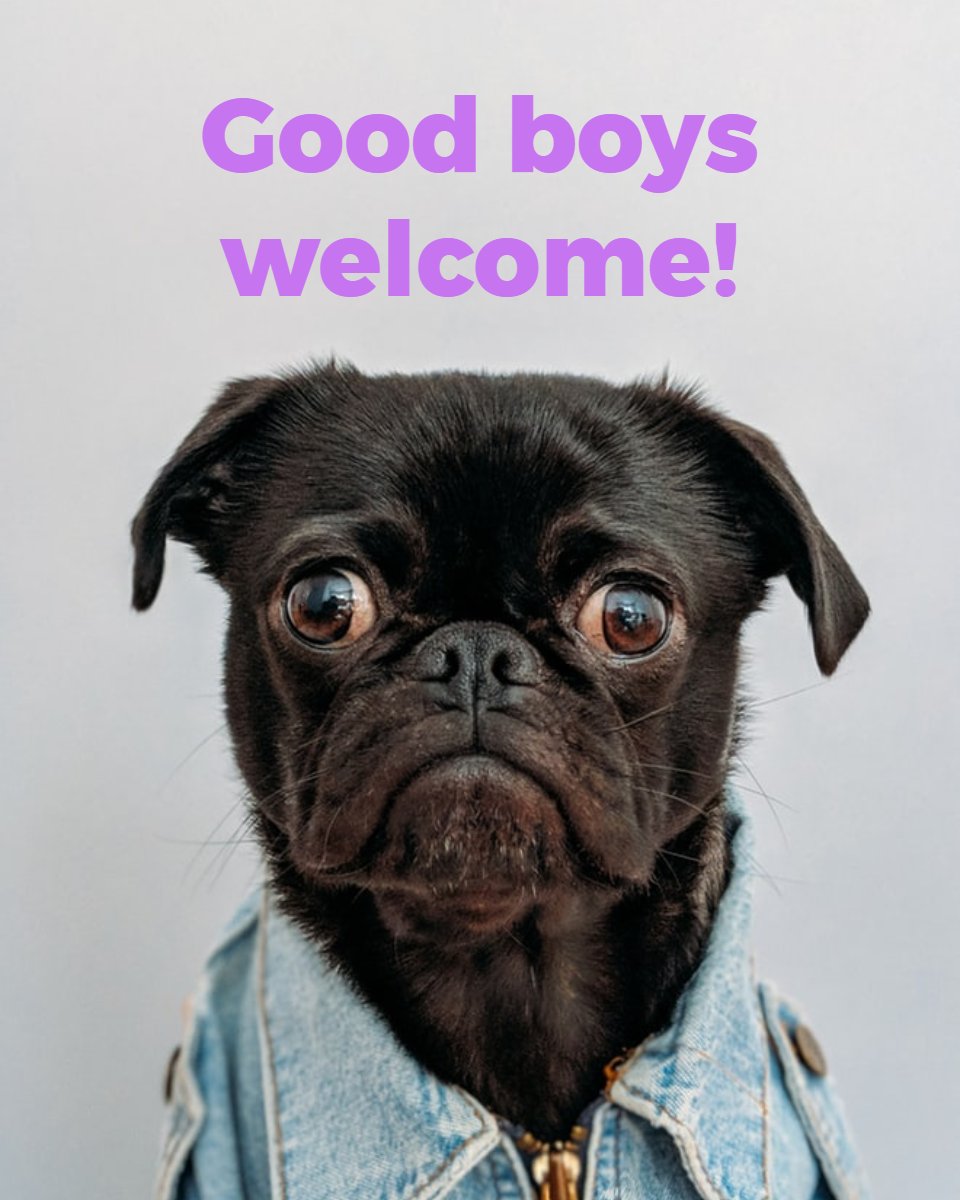 PetsGenStore's tweet image. How could we say no to that handsome face?