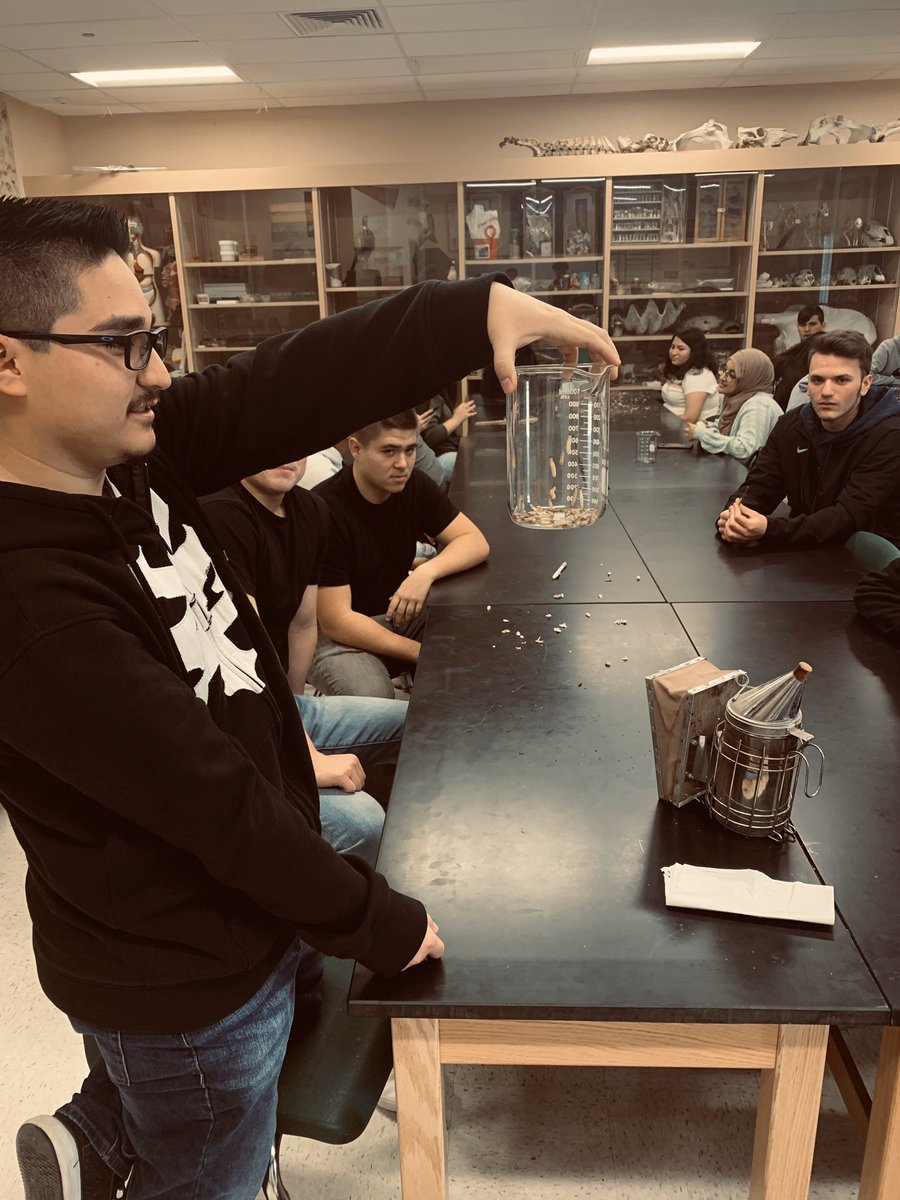 California wildlife students removing parasitic wax moth larva from a honey bee hive. #sccabears #burtonschools #californiawildlife