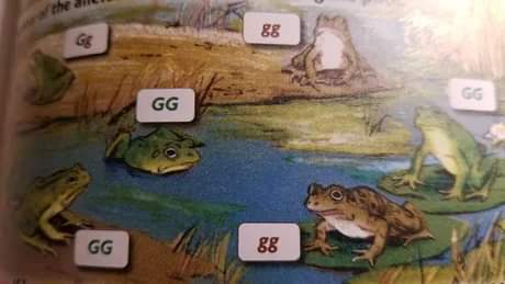 HiveMiind__'s tweet photo. When the Squad and I lose a game

#meme #frog #videogame #overwatch #pc #game #gamer #gaming #stream #streamer #streaming #funny #gg https://t.co/rP2gjGVoAa