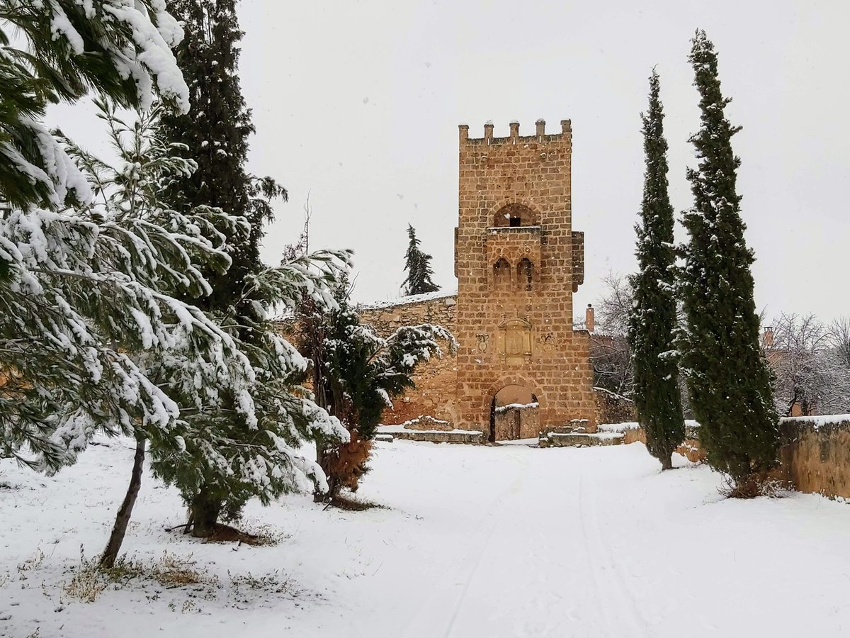 El #MonasteriodePiedra recibe la visita de la #nieve 🌨 que cubre todo de un blanco inmaculado. #naturaleza #Aragón #Zaragoza