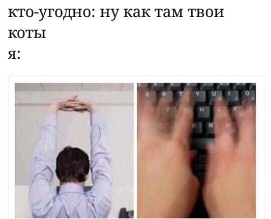 EO0c6gEWsAAwdQs?format=png&name=small