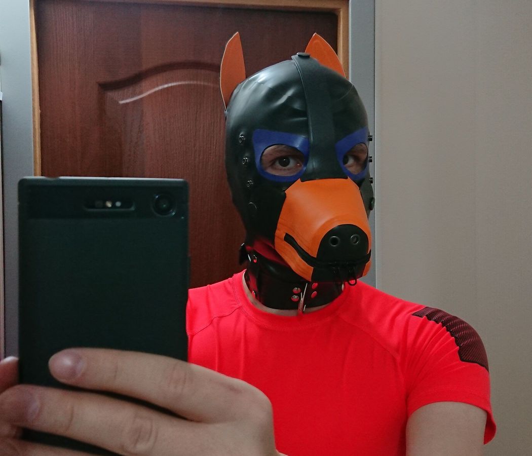 Akira Fox tweet media