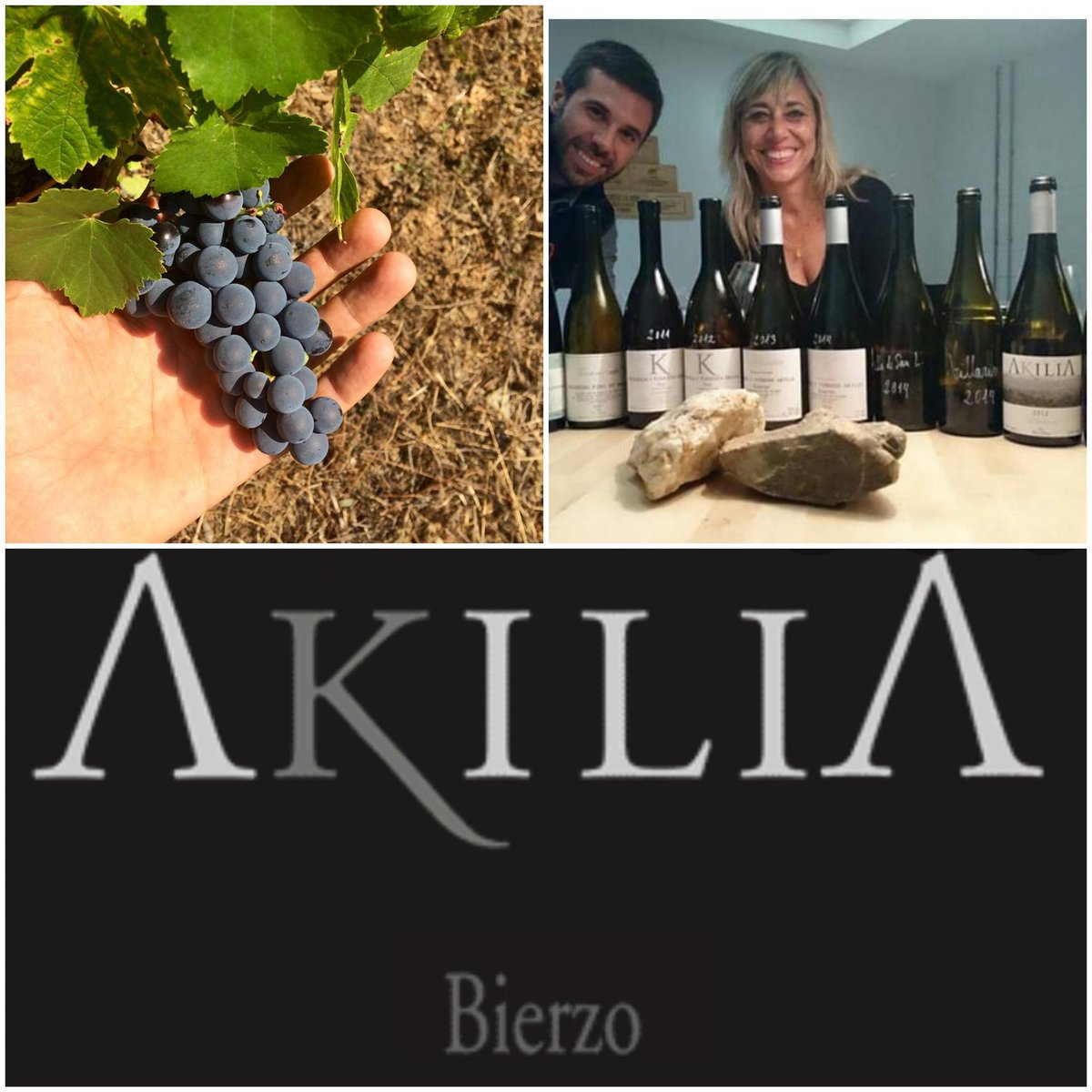 artisanwineattr's tweet photo. Del #bierzo a #jerez hasta #barcelona, Bodega Akilia

@bodegaAkilia

#BWW @bcnwineweek #bcnwineweek
#vino #vi #vin #wine #wein #ワイン #wineproducer #winemaker #makewine #drinkwine #winelovers #instawine #lovewine #winelover #winegangparty https://t.co/SgfkE4MHUT