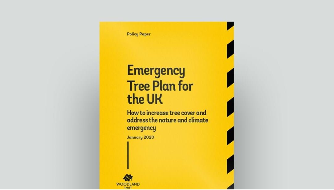 SEED Arboriculture tweet media