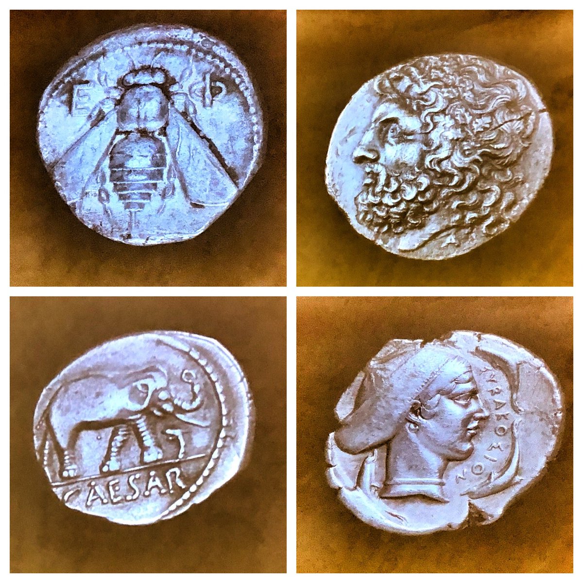 aliciaboy's tweet photo. #arre&amp;cultura y el #mide de #gruposalinas presentan una exposición increíble de monedas #historiasdeoroyplata de #hugosalinasprice (@ MIDE piso 3 in Mexico City, DF) https://t.co/mTkpQLiaYf https://t.co/Sl0bk03mbG