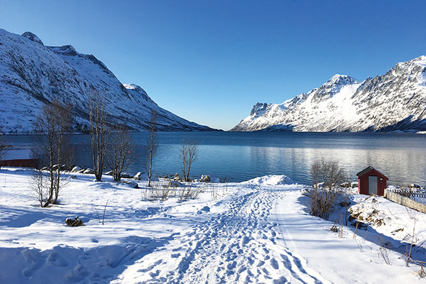 ProjectCalmMag's tweet image. If winter sends you into hibernation, a trip to one of the happiest countries in the world might just change how you feel about those cold, dark days: soo.nr/vEIg